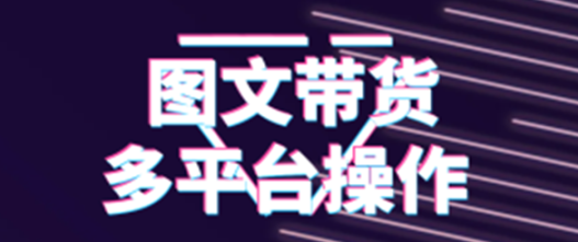 通过几大平台图文卖衣服，副业首选，收入可观，项目正规，几分钟学会实操
