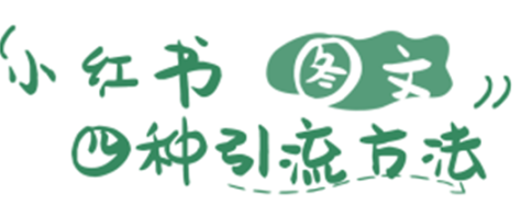 小红书发布这4种图文，就能日引私域流量100+