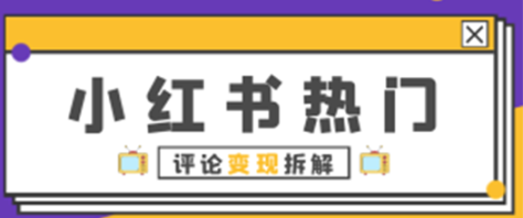 小红书热门评论，变现拆解，接广告高收入